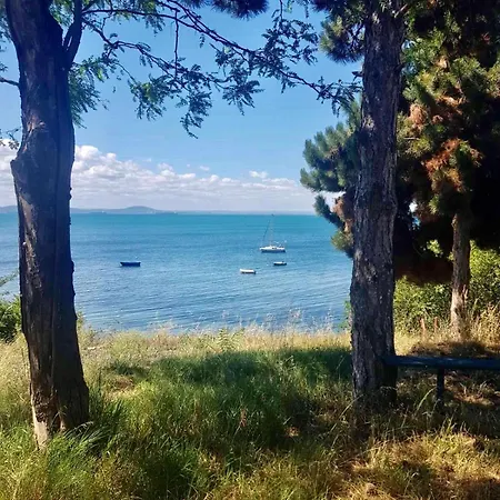 First Sea Line Flora, Next To The Daire