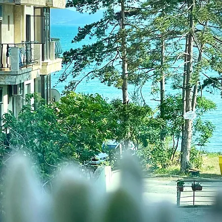 Budget First Sea Line Apt. Flora *