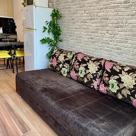 公寓 Budget First Sea Line Apt. Flora *