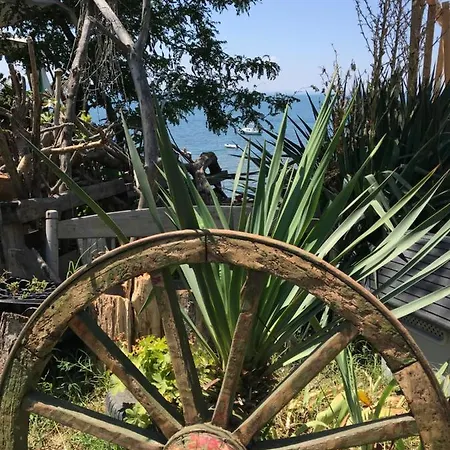 Budget First Sea Line Apt. Flora 公寓 *