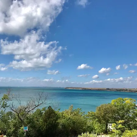 First Sea Line Flora, Next To The Поморіє