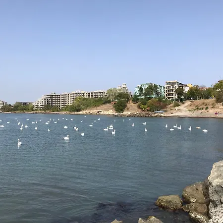 Apartmán Budget First Sea Line Apt. Flora *