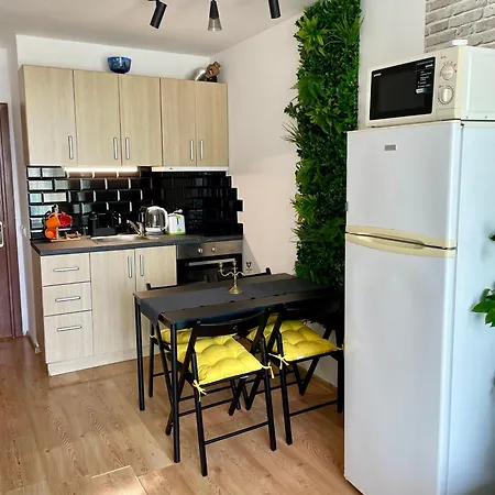 Budget First Sea Line Apt. Flora * 帕莫瑞